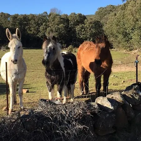 Casa Enrique Soria 別荘