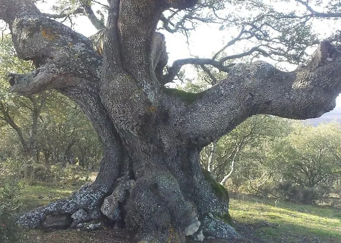 Casa Enrique Soria Prázdninový dům *