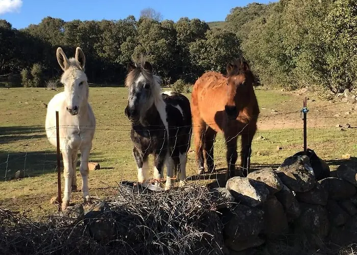 Casa Enrique Soria Prázdninový dům